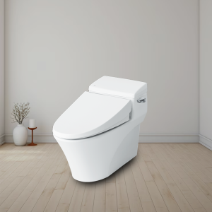 Bồn cầu INAX AC-1017VRN (AC1017VRN) 1 khối Aqua Ceramic - ảnh 4