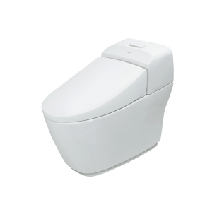 Bồn cầu INAX AC-1032VN (AC1032VN) 1 khối Aqua Ceramic