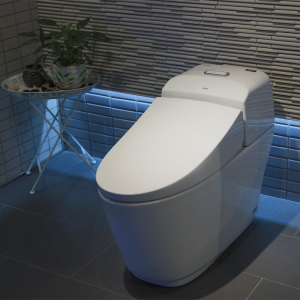Bồn cầu INAX AC-1032VN (AC1032VN) 1 khối Aqua Ceramic - ảnh 4