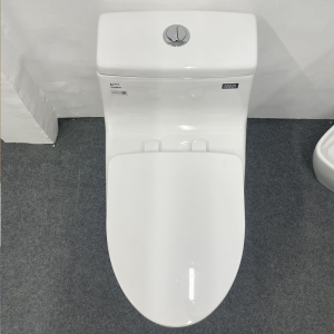 Bồn cầu INAX AC-1035VN (AC1035VN) 1 khối nắp êm Aqua Ceramic - ảnh 5