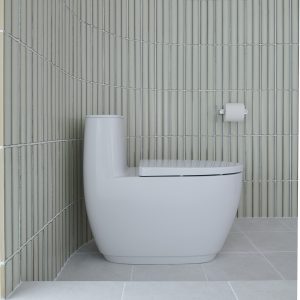 Bồn cầu INAX AC-1052VN 1 khối nắp êm Aqua Ceramic - ảnh 5
