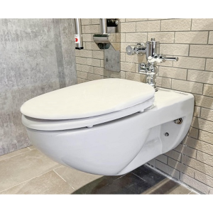 Bồn cầu INAX AC-22PVN (AC22PVN) treo tường Aqua Ceramic - ảnh 4