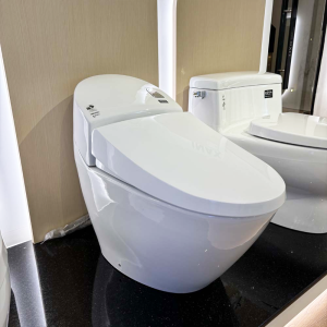 Bồn cầu INAX AC-2700VN 1 khối Aqua Ceramic nắp êm (AC2700VN) - ảnh 5