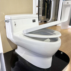 Bồn cầu INAX AC-4005VN (AC4005VN) 1 khối Aqua Ceramic cao cấp - ảnh 4