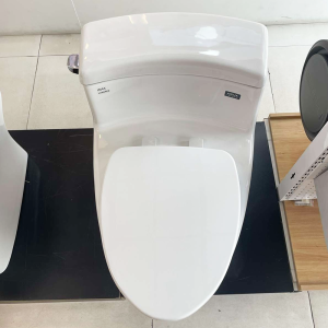 Bồn cầu INAX AC-4005VN (AC4005VN) 1 khối Aqua Ceramic cao cấp - ảnh 5