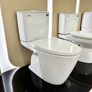 Bồn cầu INAX AC-602VN 2 khối Aqua Ceramic nắp êm - ảnh 4