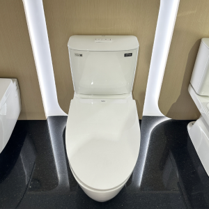 Bồn cầu INAX AC-602VN 2 khối Aqua Ceramic nắp êm - ảnh 5