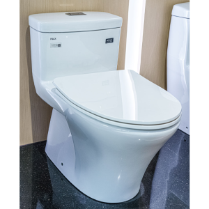 Bồn cầu INAX AC-900VRN-2 1 khối Aqua Ceramic nắp mỏng - ảnh 3