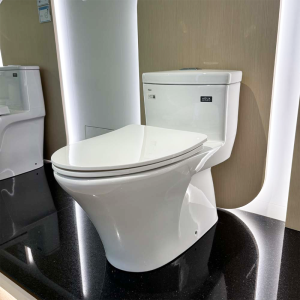 Bồn cầu INAX AC-900VRN-2 1 khối Aqua Ceramic nắp mỏng - ảnh 4