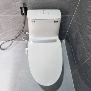 Bồn cầu INAX AC-902+CW-S32VN nắp rửa cơ Aqua Ceramic - ảnh 4