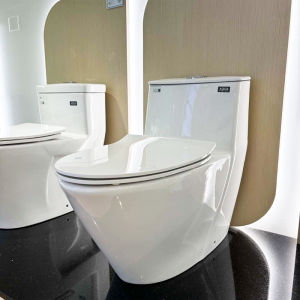 Bồn cầu INAX AC-919VRN (AC919VRN) 1 khối Aqua Ceramic - ảnh 4