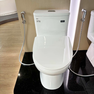 Bồn cầu INAX AC-969VN-2 1 khối Aqua Ceramic nắp mỏng - ảnh 3