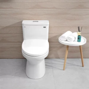 Bồn cầu INAX AC-969VN (AC969VN) 1 khối Aqua Ceramic - ảnh 3