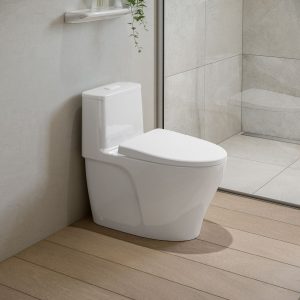 Bồn cầu INAX AC-989VN (AC989VN) 1 khối Aqua Ceramic - ảnh 2