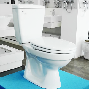 Bồn cầu INAX C-108VA (C108VA) 2 khối nắp thường size nhỏ - ảnh 3
