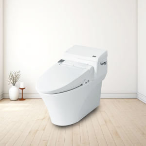 Bồn cầu thông minh INAX AC-1017R+CW-KA22AVN xả gạt - ảnh 3
