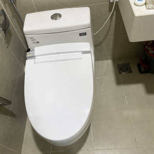 Bồn cầu thông minh INAX AC-1035+CW-KA22AVN xả xoáy Eco-X - ảnh 4