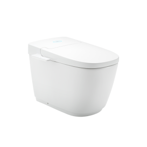 Bồn cầu thông minh INAX AC-816VN (SARAS Light E)