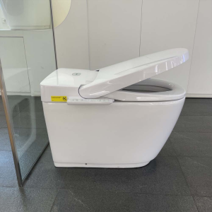 Bồn cầu thông minh INAX AC-816VN (SARAS Light E) - ảnh 5