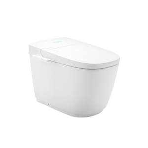 Bồn cầu thông minh INAX AC-819VN (SARAS Auto Open)