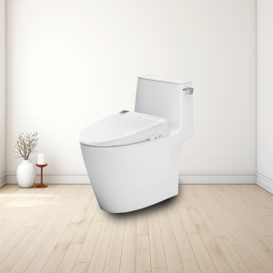 Bồn cầu thông minh INAX AC-912+CW-KA22AVN xả gạt - ảnh 3