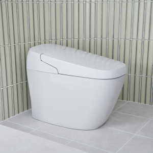 Bồn cầu thông minh INAX AC-G216VN/BW1 (ACG216VN) Satis G - ảnh 5