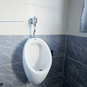 Bồn tiểu nam INAX U-117V treo tường - ảnh 4