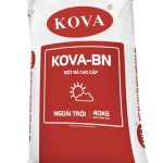 Bột bả cao cấp ngoài trời