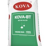 Bột bả cao cấp trong nhà