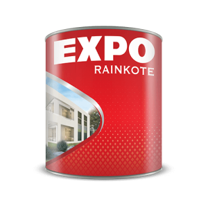 EXPO RAINKOTE - Sơn nước expo ngoài trời - ảnh 2