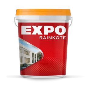 EXPO RAINKOTE - Sơn nước expo ngoài trời - ảnh 3