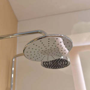 Vòi sen tắm cây INAX BFV-915S nóng lạnh củ sen cách điệu - ảnh 4